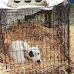 Meet your Posher, Jamal